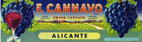 F. Cannavo